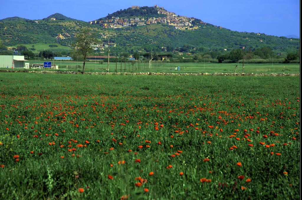 דירות Guidonia Agri Domus מראה חיצוני תמונה